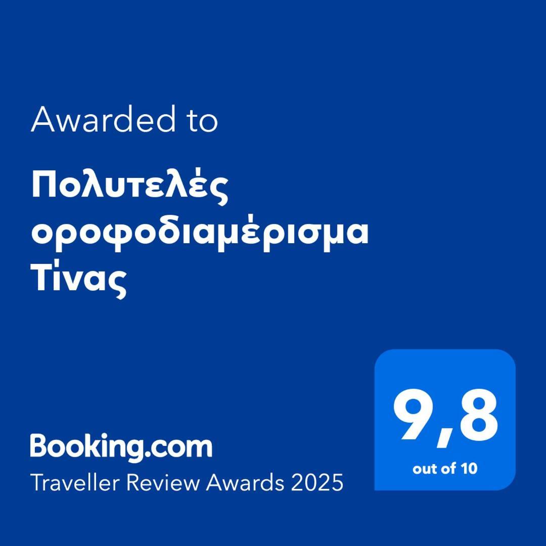 Πολυτελές Οροφοδιαμέρισμα Τίνας 볼로스 외부 사진
